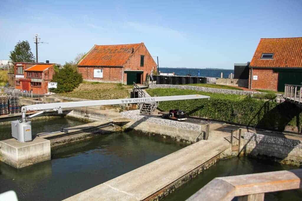 Oesterij – Yerseke - And oyster farm in Yerseke Zeeland.