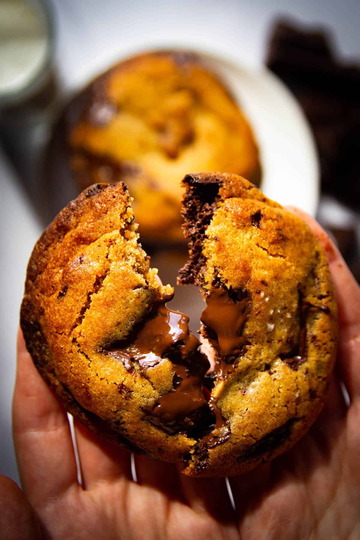 The chocolate chip cookie broken in half.