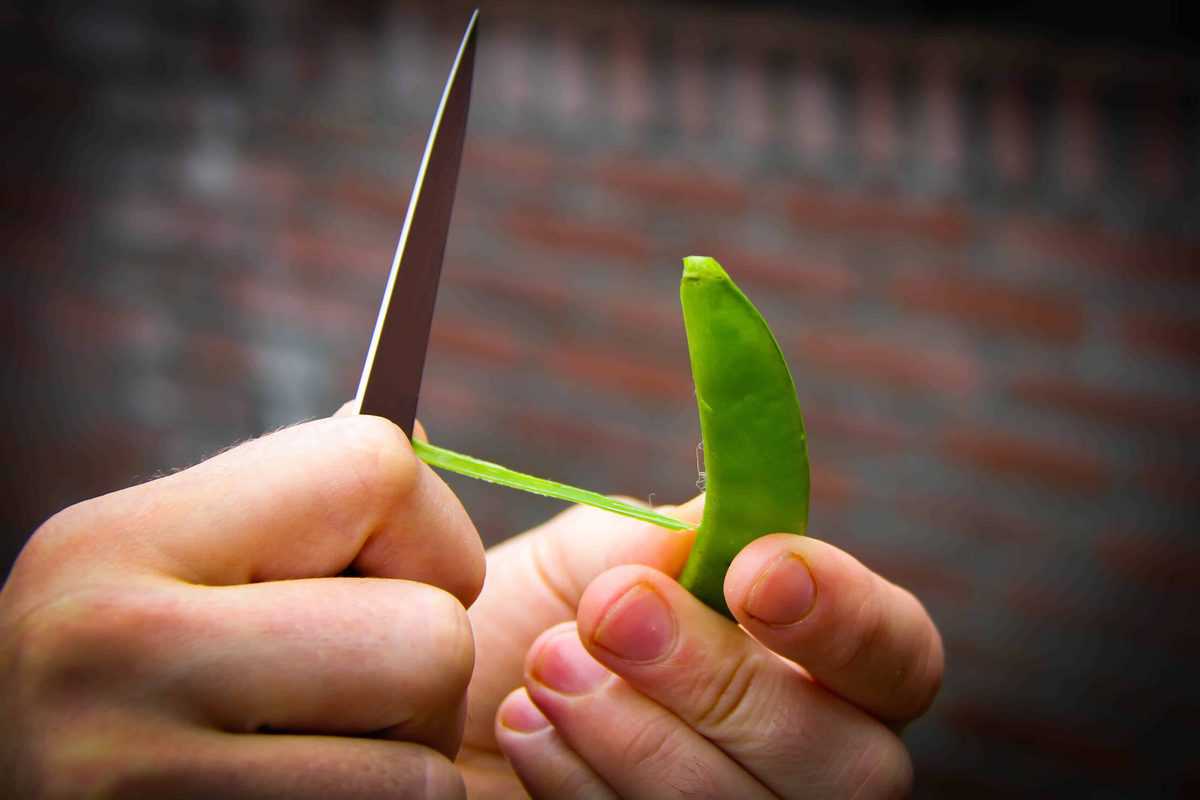 Cleaning the peas with a knife.