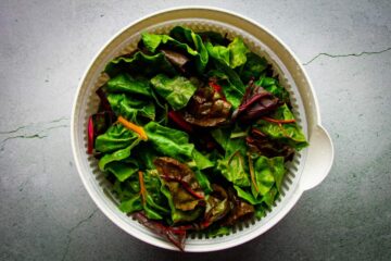 The washed swiss chard in a salad spinner.