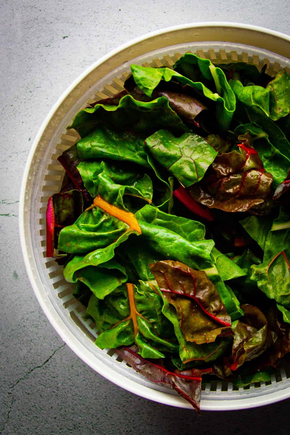 The washed swiss chard in a salad spinner.