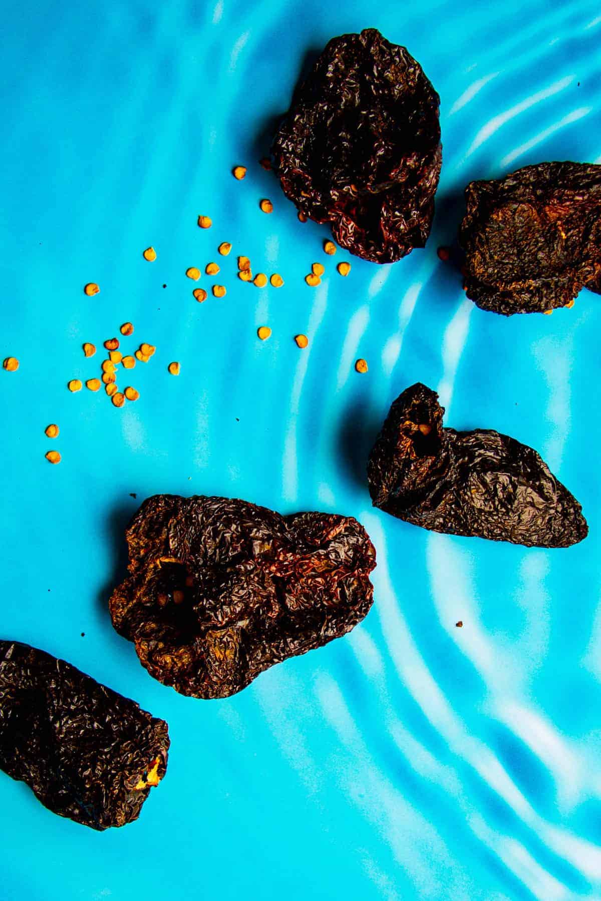Dried-ancho-chili-peppers-on-a-blue-board