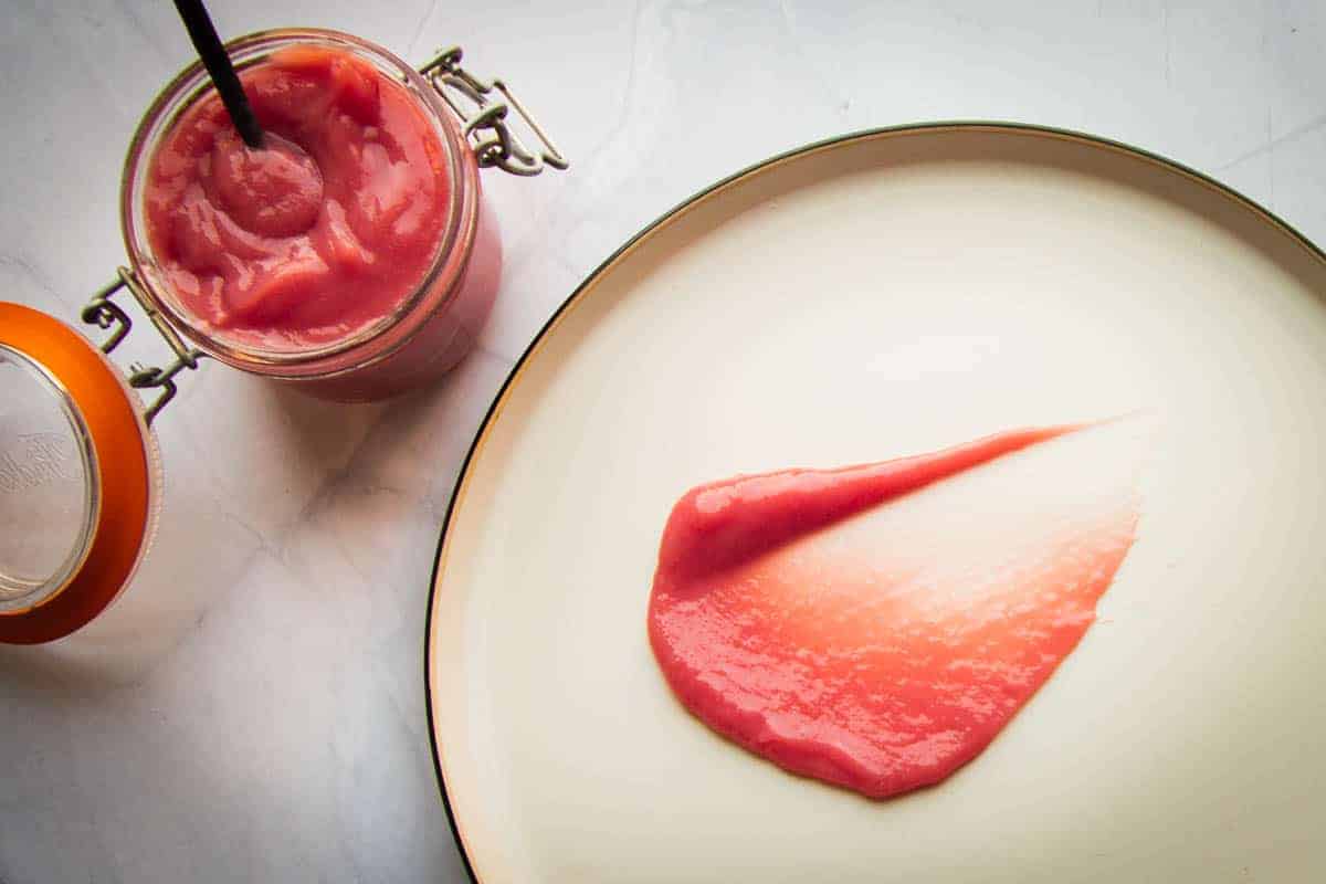 rhubarb-sauce-on-plate