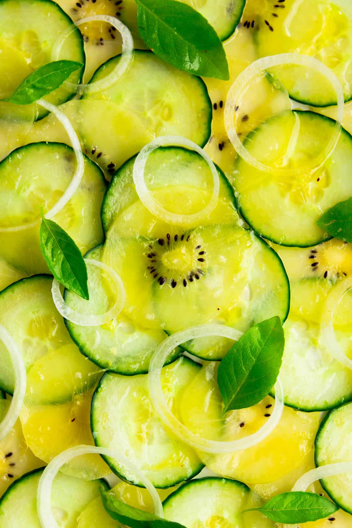 A close up of the cucumber carpaccio salad.