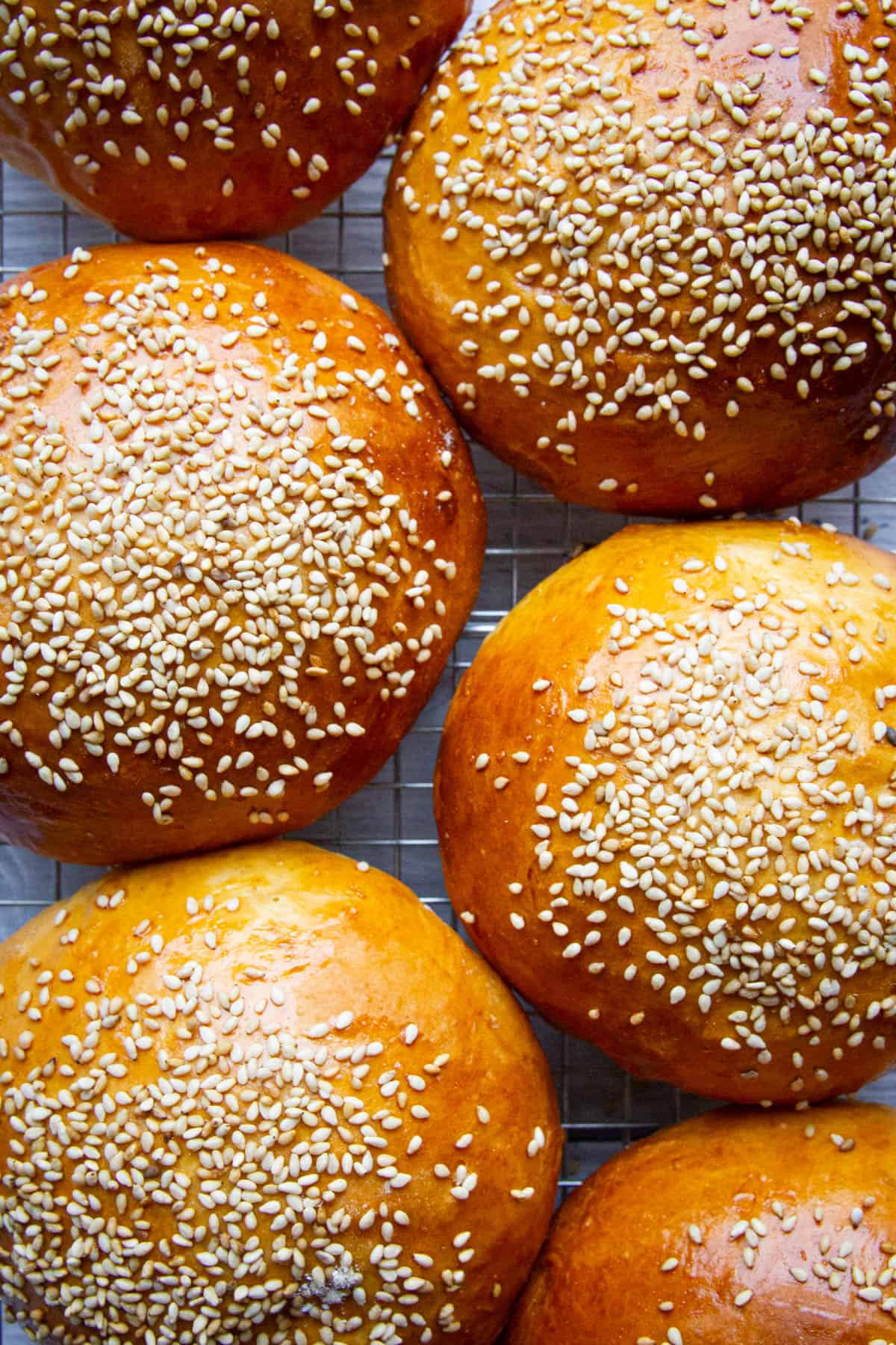 A close up shot of the hamburger buns on a rack.