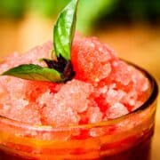 A vodka watermelon granita.