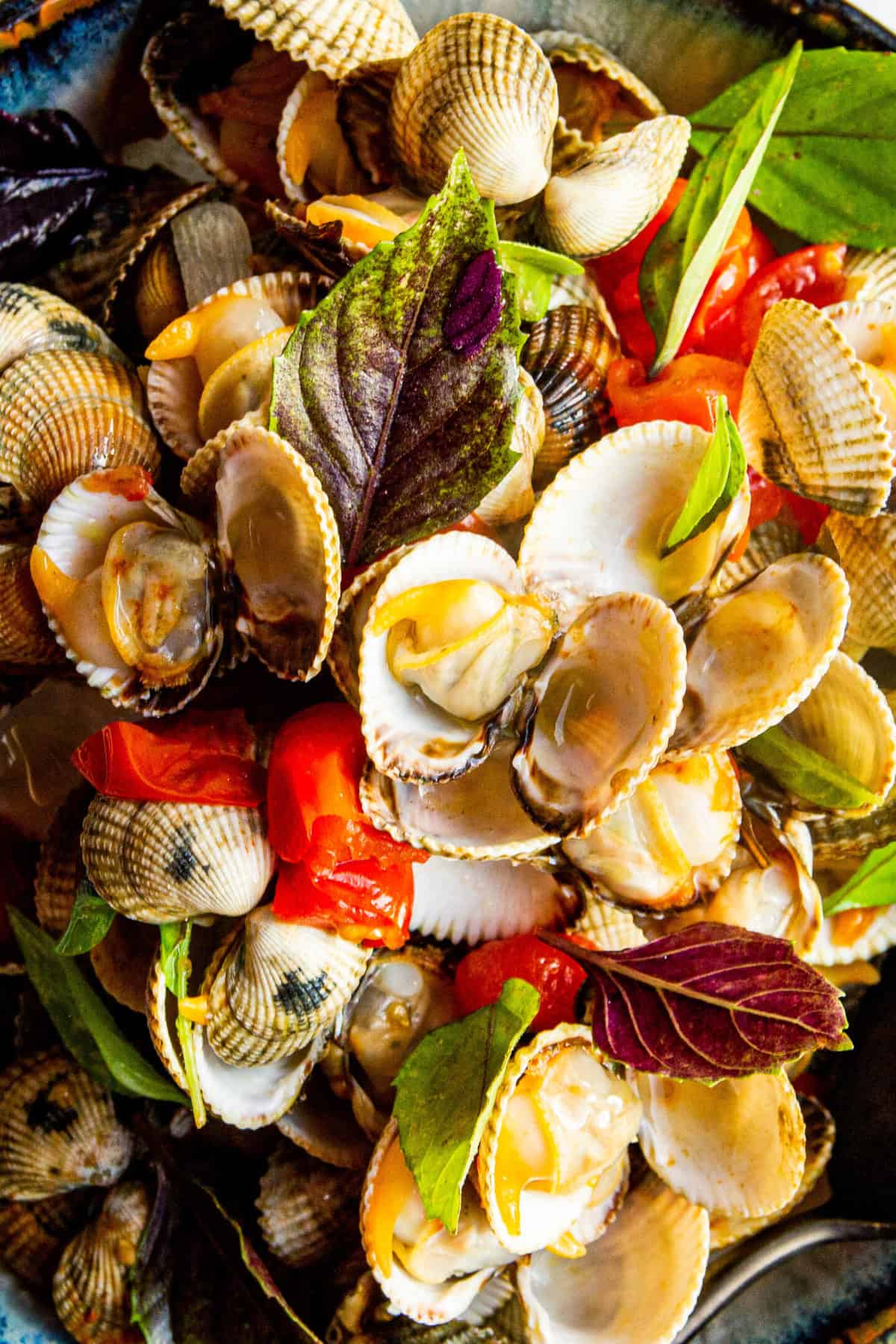 A close up shot of the cooked cockles.