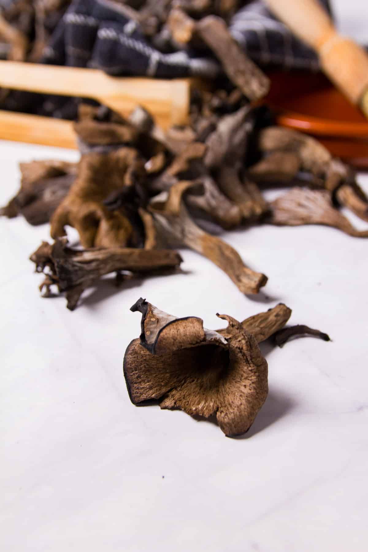 A black trumpet mushroom on the table with more trumpets in the background.