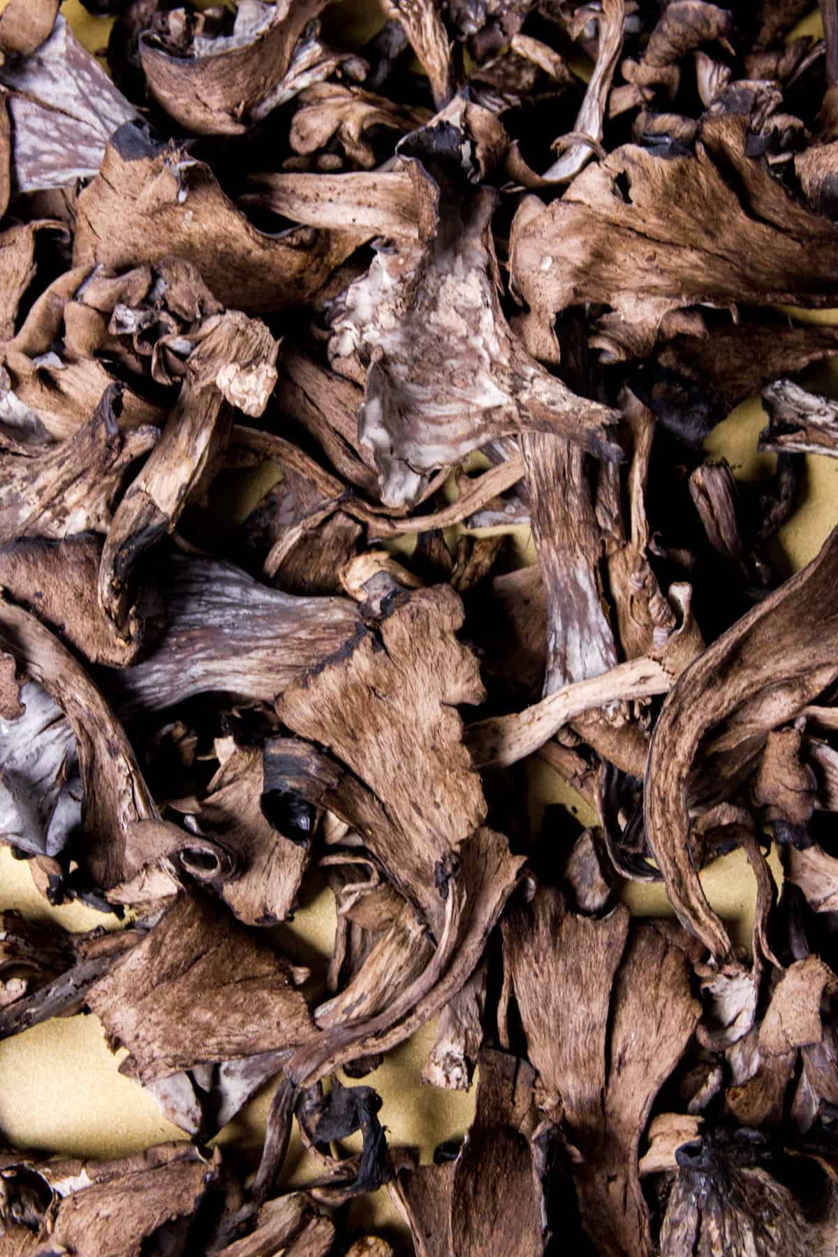 A close up of raw black trumpet mushrooms.