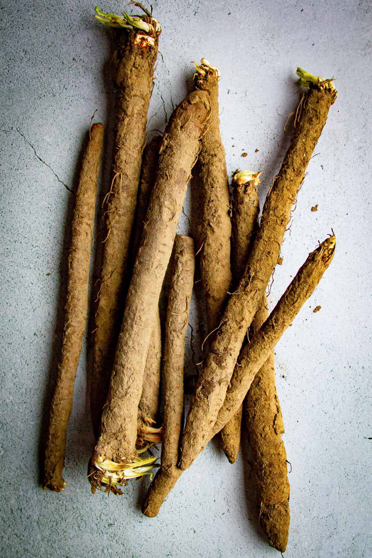 Raw, dirty salsify on a marble background.