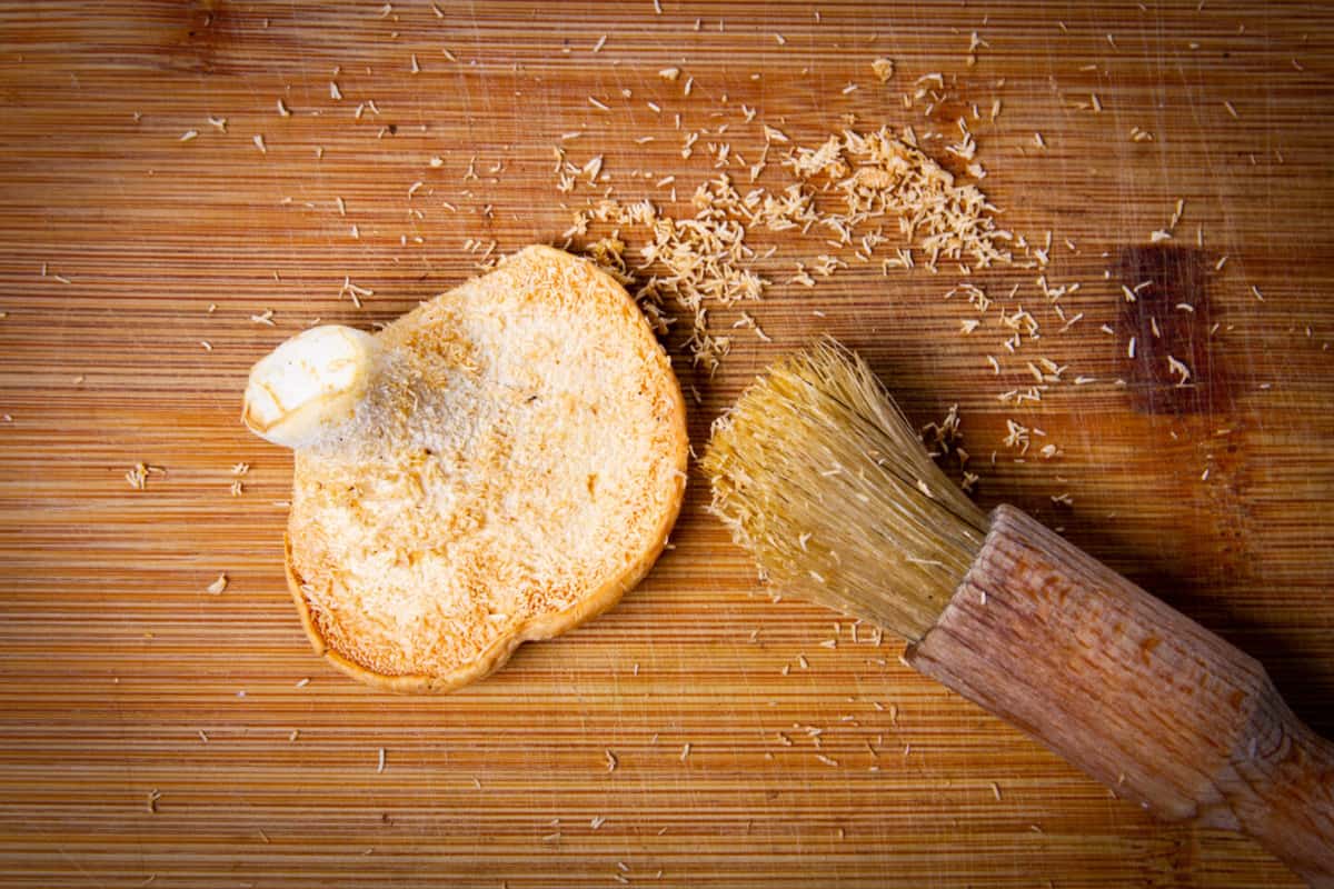 How to Cook the Hedgehog Mushroom The Cheaper Chanterelle