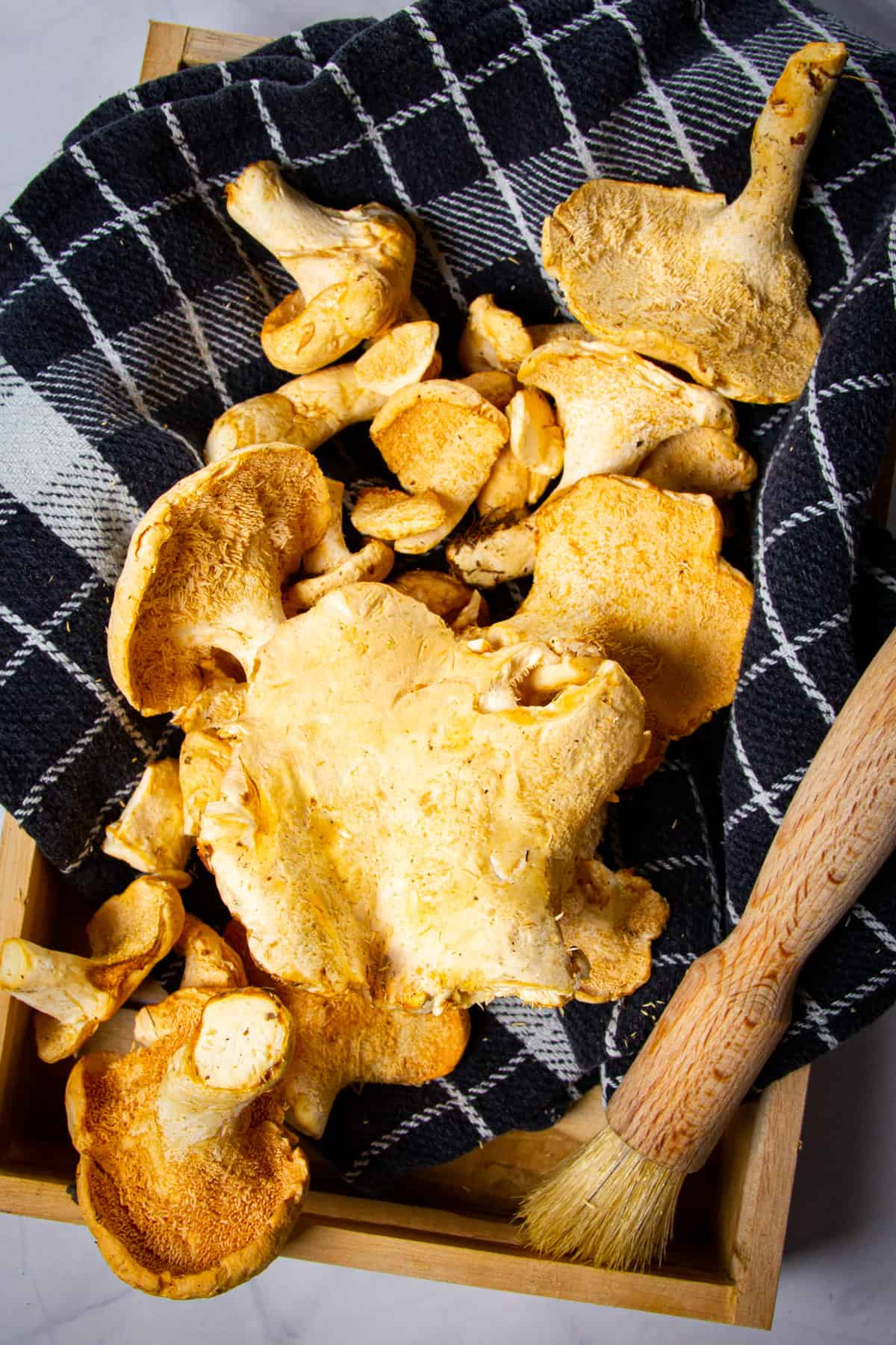 Hedgehog mushrooms in a wooden basket with a brush beside them.