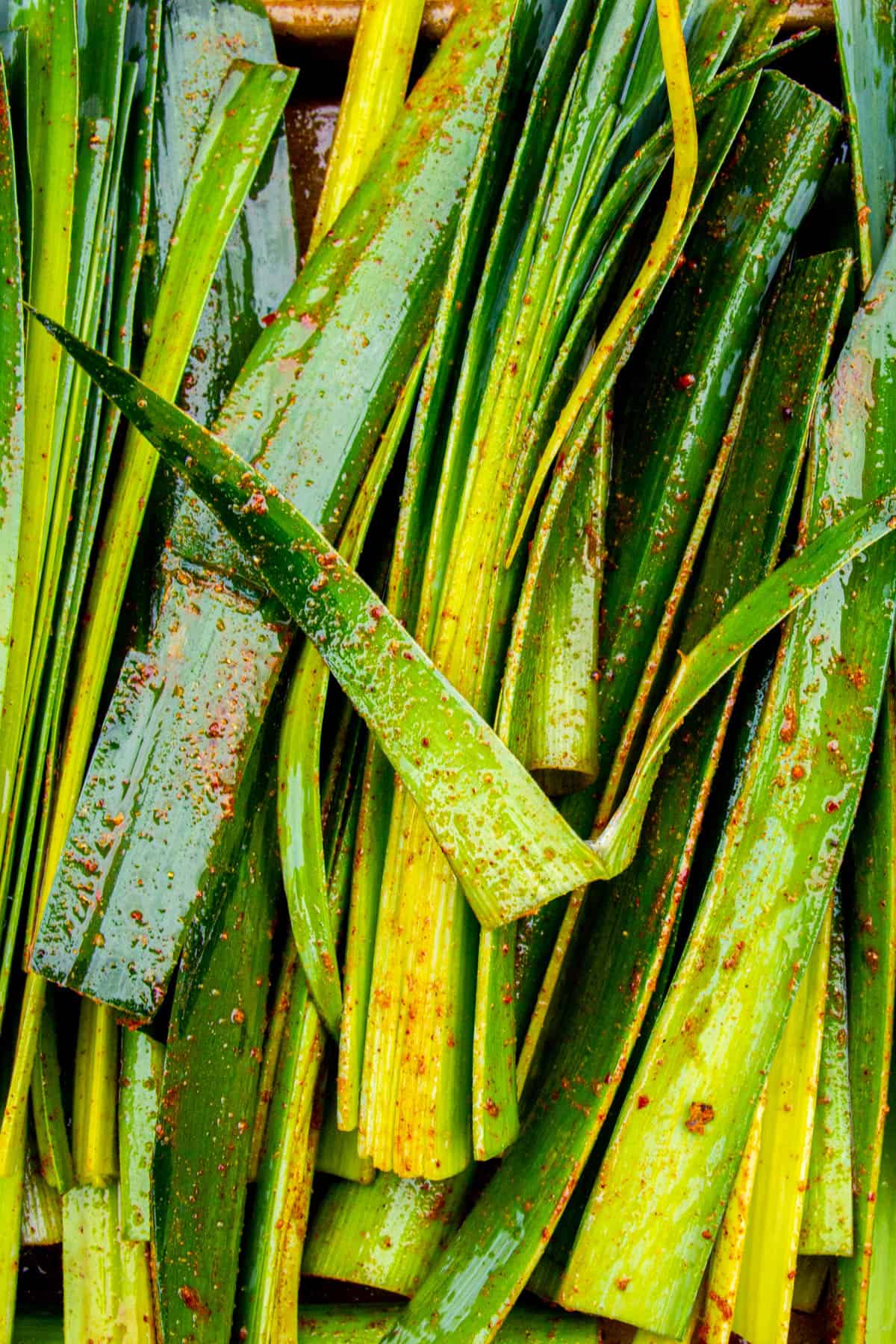 A close up of the spiced green leek tops.