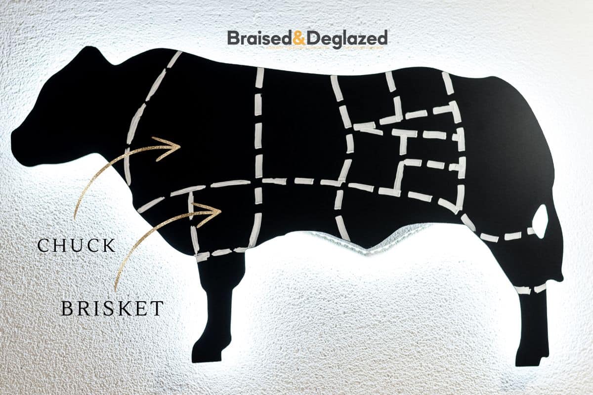 A diagram showing where chuck and brisket are on the cow.